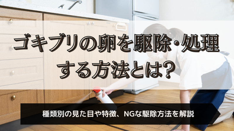 青森県で人気・近くの害虫駆除業者一覧 (2024年12月更新) | ゼヒトモ